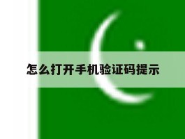 怎么打开手机验证码提示