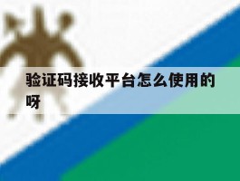 验证码接收平台怎么使用的呀