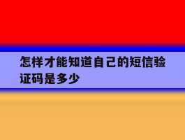怎样才能知道自己的短信验证码是多少