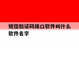 短信验证码接口软件叫什么软件名字