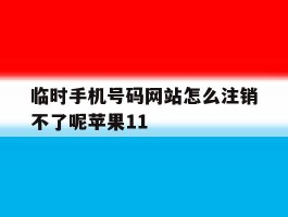 临时手机号码网站怎么注销不了呢苹果11的简单介绍