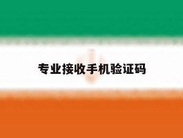 专业接收手机验证码