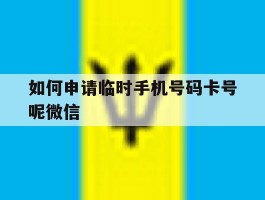 如何申请临时手机号码卡号呢微信