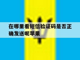 在哪里看短信验证码是否正确发送呢苹果