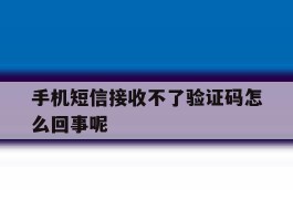 手机短信接收不了验证码怎么回事呢