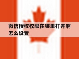 微信授权权限在哪里打开啊怎么设置