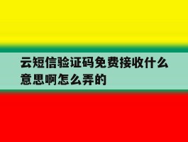 云短信验证码免费接收什么意思啊怎么弄的