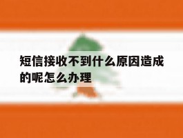 短信接收不到什么原因造成的呢怎么办理的简单介绍