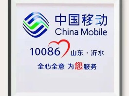 接码平台专属客服电话是什么意思呀的简单介绍
