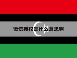 微信授权是什么意思啊