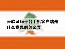 关于云验证码平台手机客户端是什么意思啊怎么弄的信息