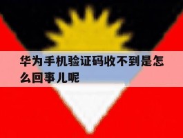 华为手机验证码收不到是怎么回事儿呢