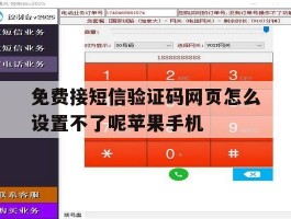 免费接短信验证码网页怎么设置不了呢苹果手机的简单介绍