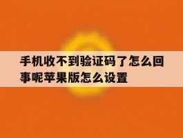 手机收不到验证码了怎么回事呢苹果版怎么设置的简单介绍