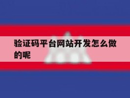验证码平台网站开发怎么做的呢