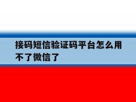 接码短信验证码平台怎么用不了微信了