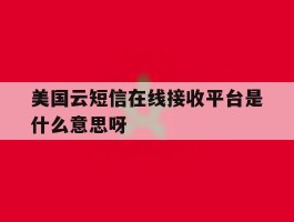 美国云短信在线接收平台是什么意思呀