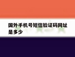 国外手机号短信验证码网址是多少