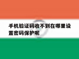 手机验证码收不到在哪里设置密码保护呢
