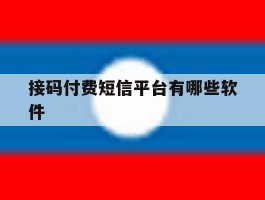 接码付费短信平台有哪些软件