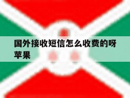 国外接收短信怎么收费的呀苹果