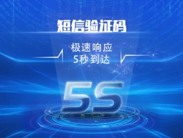 短信验证码平台服务商是什么意思