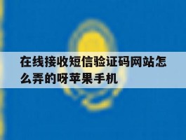 在线接收短信验证码网站怎么弄的呀苹果手机