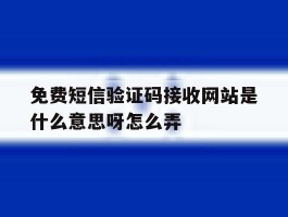 免费短信验证码接收网站是什么意思呀怎么弄