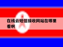 在线云短信接收网站在哪里看啊