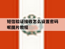 短信验证接收怎么设置密码呢图片教程