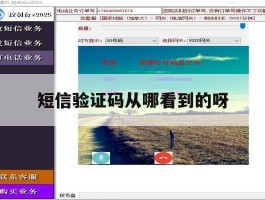短信验证码从哪看到的呀