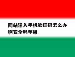 网站输入手机验证码怎么办啊安全吗苹果