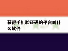 获得手机验证码的平台叫什么软件