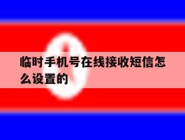 临时手机号在线接收短信怎么设置的