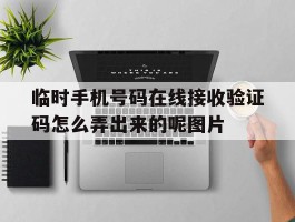 临时手机号码在线接收验证码怎么弄出来的呢图片的简单介绍