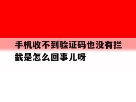包含手机收不到验证码也没有拦截是怎么回事儿呀的词条