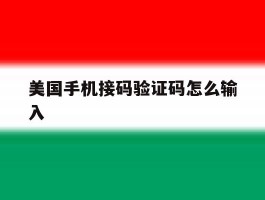 美国手机接码验证码怎么输入