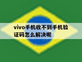 vivo手机收不到手机验证码怎么解决呢