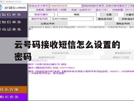 云号码接收短信怎么设置的密码