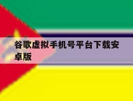 谷歌虚拟手机号平台下载安卓版