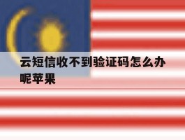 云短信收不到验证码怎么办呢苹果