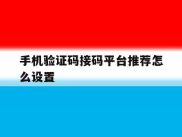 手机验证码接码平台推荐怎么设置