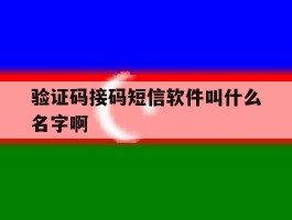 验证码接码短信软件叫什么名字啊