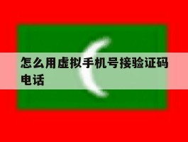 怎么用虚拟手机号接验证码电话