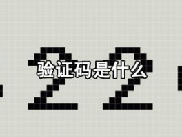 收费接码验证码平台是什么
