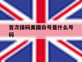 首次接码美国白号是什么号码