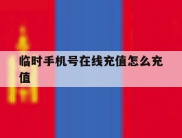 临时手机号在线充值怎么充值