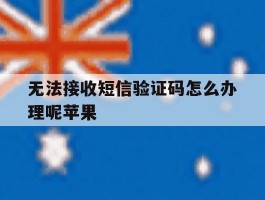无法接收短信验证码怎么办理呢苹果