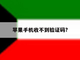 苹果手机收不到验证码?