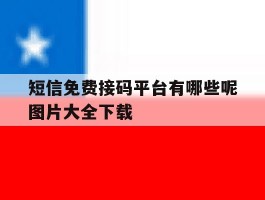 短信免费接码平台有哪些呢图片大全下载